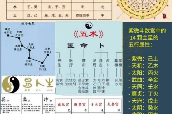 紫薇斗数事业算命