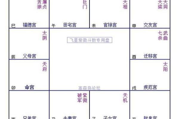 紫微斗数入门--身宫