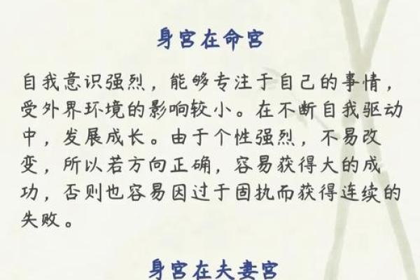 紫微斗数入门--身宫
