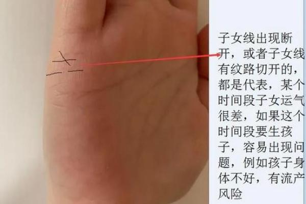 从手相和八字命理解读恋母情节