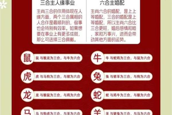 八字算命生肖六合是什么意思