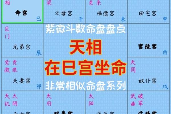 紫微斗数紫薇星在疾厄宫
