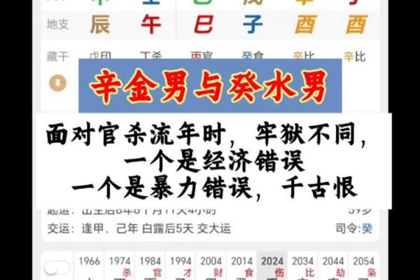 八字金男人