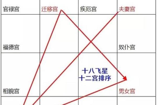 p11子女宫11-1#命理#紫微斗数#二十八宿#五星术