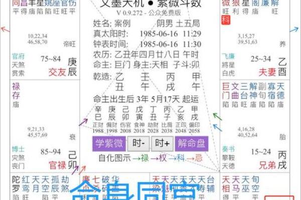 紫薇斗数是什么