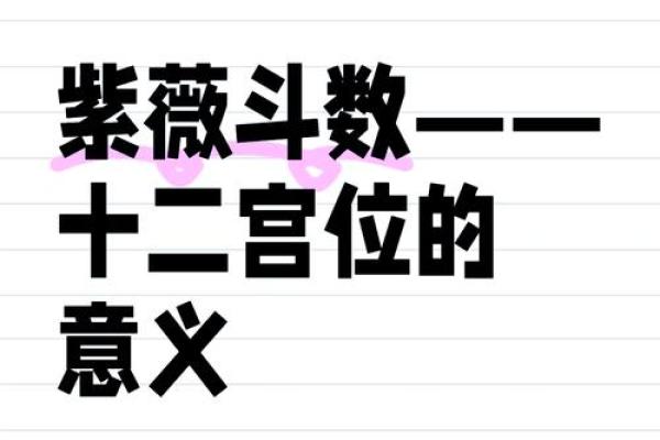 紫薇斗数是什么