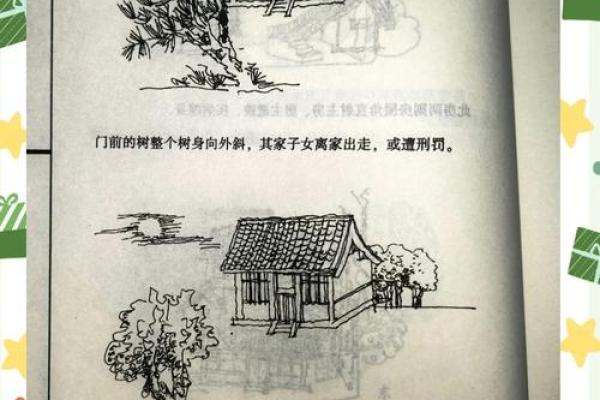 树上的房子风水