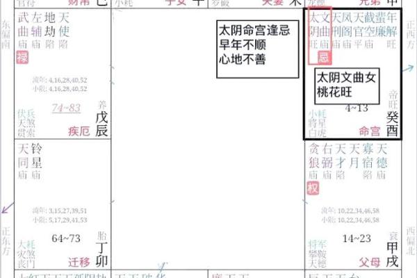 紫薇星盘斗数