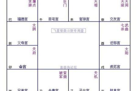 紫微斗数入门--身宫