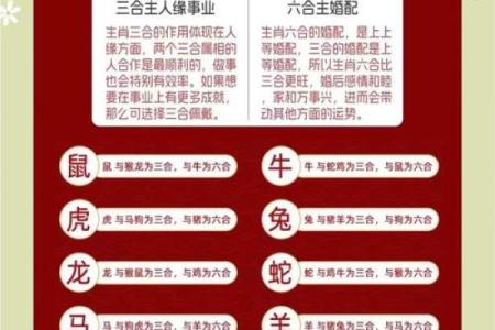 八字算命生肖六合是什么意思
