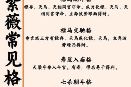 朱元璋紫薇斗数