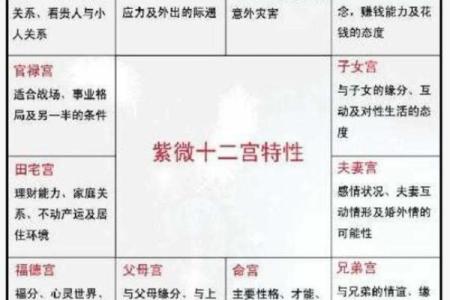 p11子女宫11-1#命理#紫微斗数#二十八宿#五星术