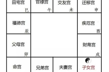 紫薇斗数免费排盘华易