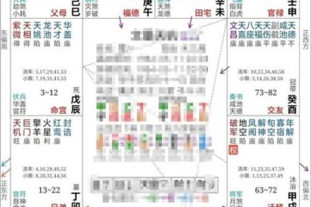 紫薇斗数怎么看命盘