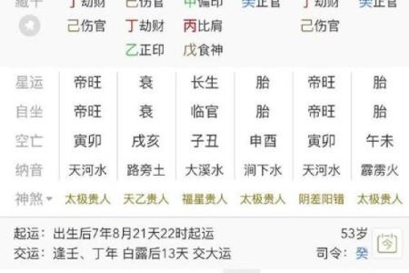 八字金舆星查询,丧门星