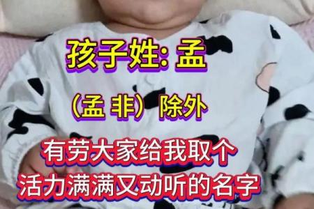 姓孟的名人-姓名学-华易算命网姓名