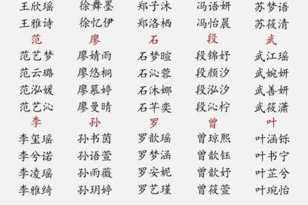 2019年6月23号寅时出生的男孩要怎么起名字姓名