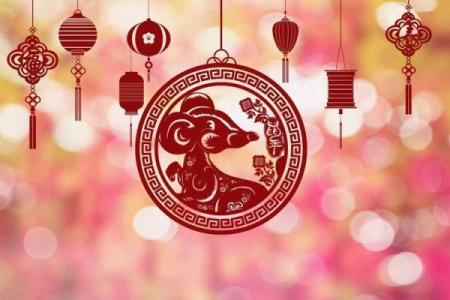 属鼠和属狗的八字合不合得来,属狗的跟属鼠的合财吗