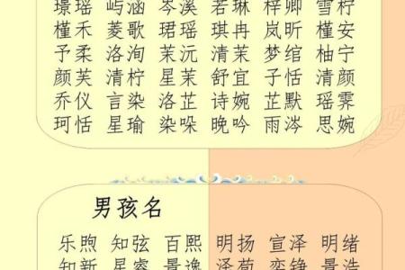 根据宝宝生辰八字起名，起名步骤，适合猪年男孩女孩的名字推荐