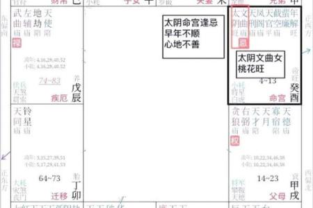 紫薇星盘斗数