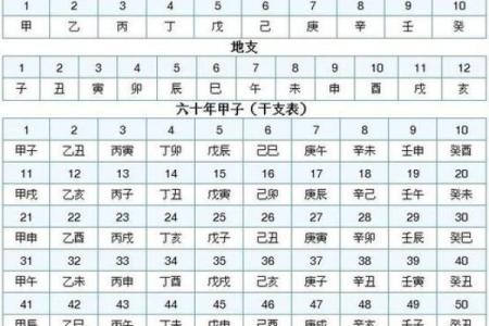 八字日干本性