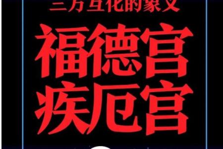 紫薇斗数开车撞人