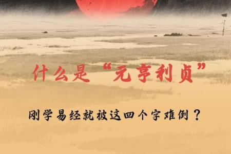 元享利贞免费算命