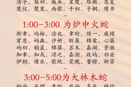 2019年6月30号寅时出生的男孩如何起名姓名
