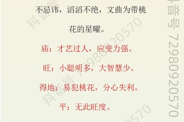 紫薇斗数入门梅花