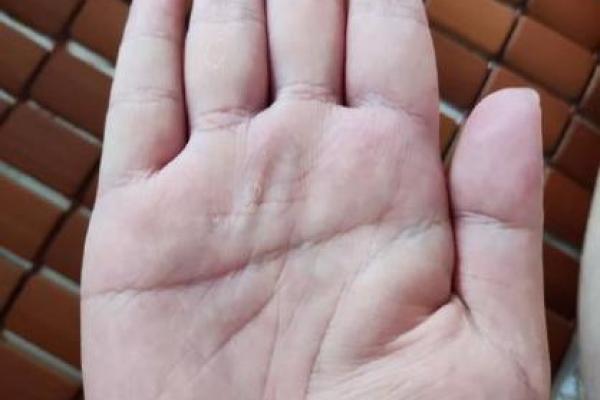 断掌算命,断掌上面还有感情线