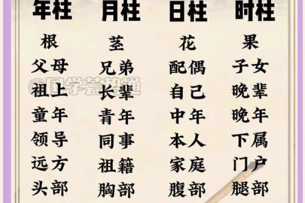 【八字看擅长领域】你的命理学大揭秘，解码你擅长的事业领域！