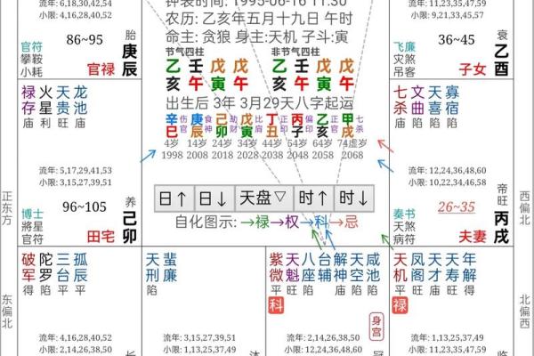 紫薇斗数软件破解