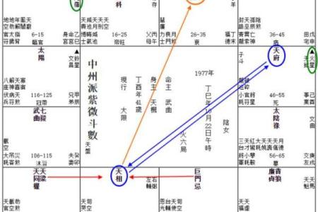 紫薇斗数研究室