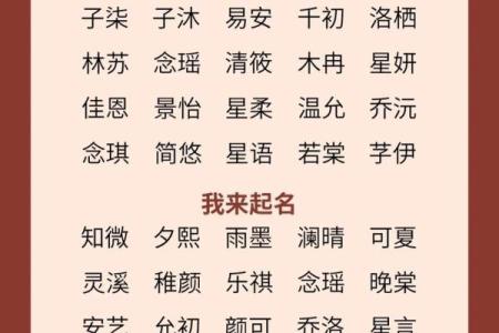 2021年农历六月二十三日出生男孩名字大气取名大全姓名