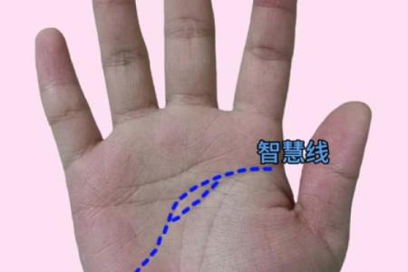断掌算命,断掌上面还有感情线
