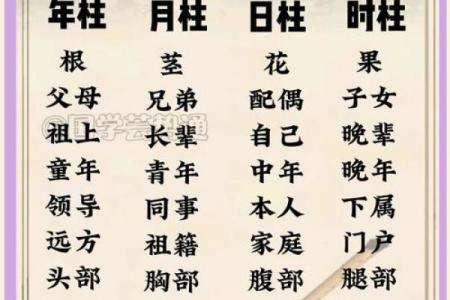 【八字看擅长领域】你的命理学大揭秘，解码你擅长的事业领域！