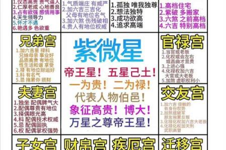 紫薇斗数入门看什么书