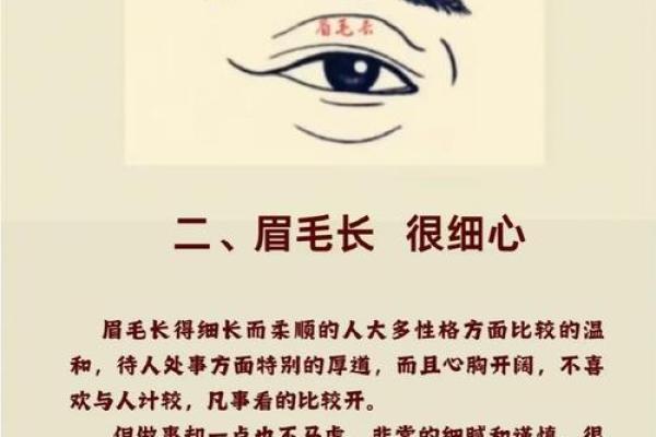 面相图解-八字眉面相算命及特征