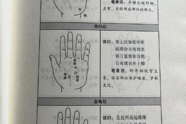 手相图解大全女 右手 算命 手掌红润柔软