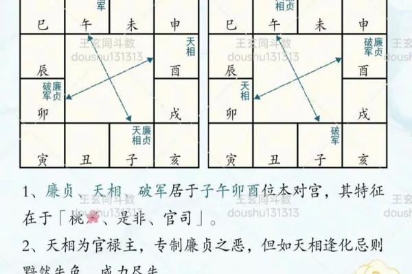 紫薇斗数正崾