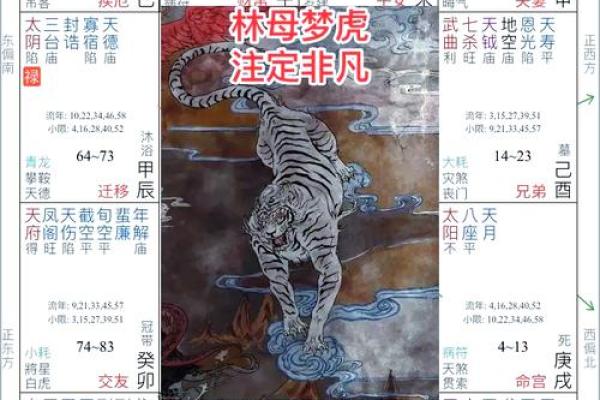 《紫微斗数》：看你是否有贵人相助