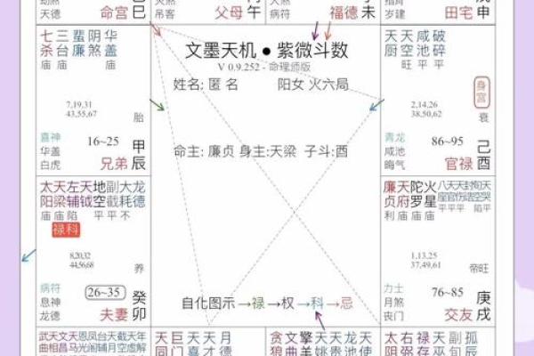 八字天机下载