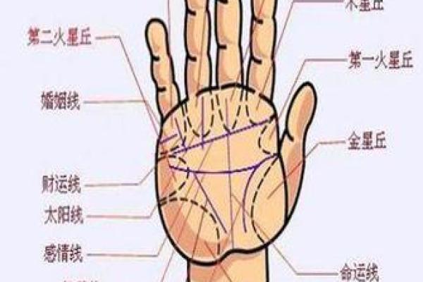 手相-掌丘算命图解