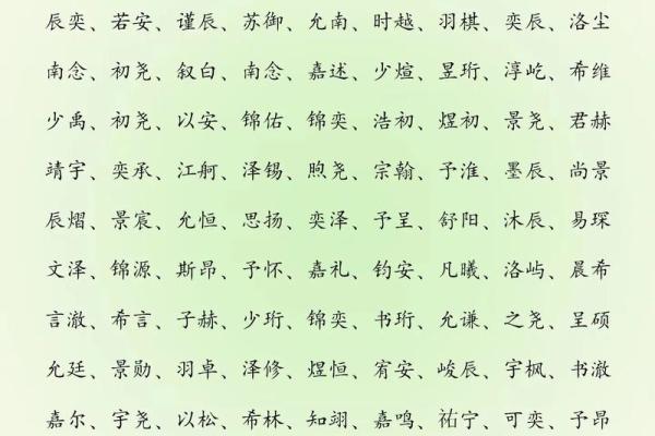 凌晨3点出生的属蛇男孩如何起名，宜用什么字姓名