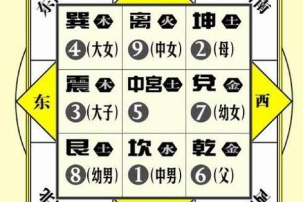 商业：办公养花风水与五行八卦