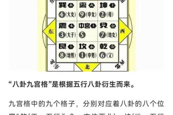 商业：办公养花风水与五行八卦