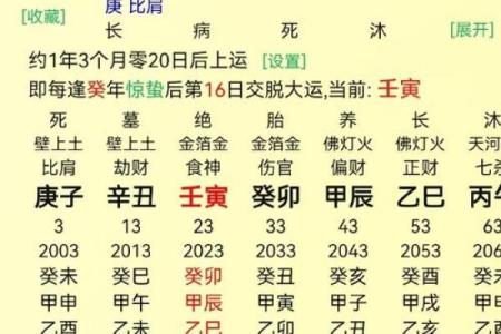腿上不同位置的胎记算命
