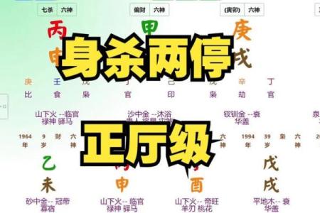 八字没官杀
