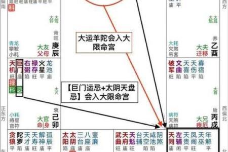 紫微斗数诸星落诸宫之，天同星：阳水疾厄宫详解