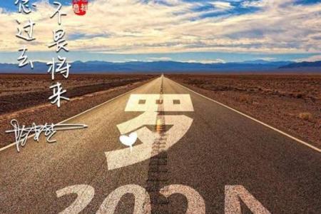 更新艺术签名 名字测试只供娱乐哦 命运是在自己的努力下的